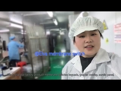 医療機器と産業用アプリケーションのためのカスタマイズされたPET膜スイッチ